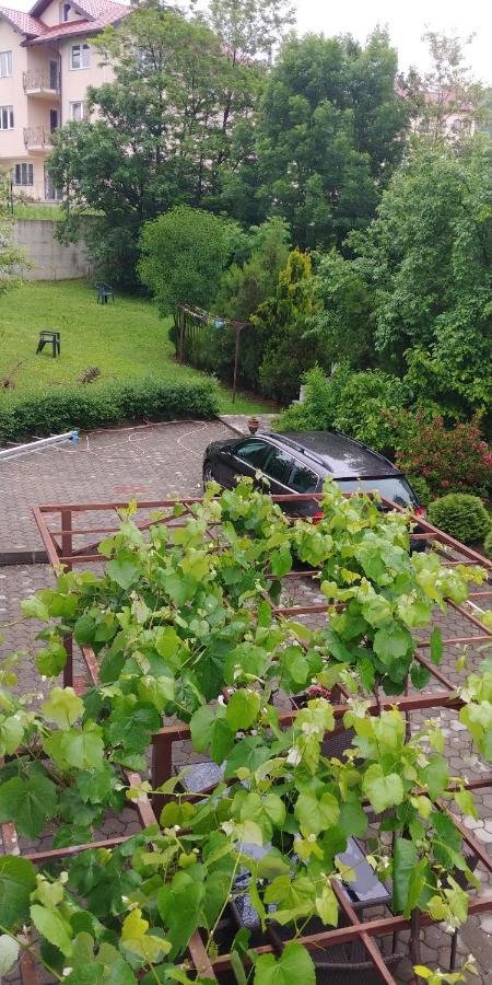 Villa Tarik